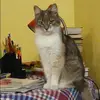 Отзыв от Инна Горбунова